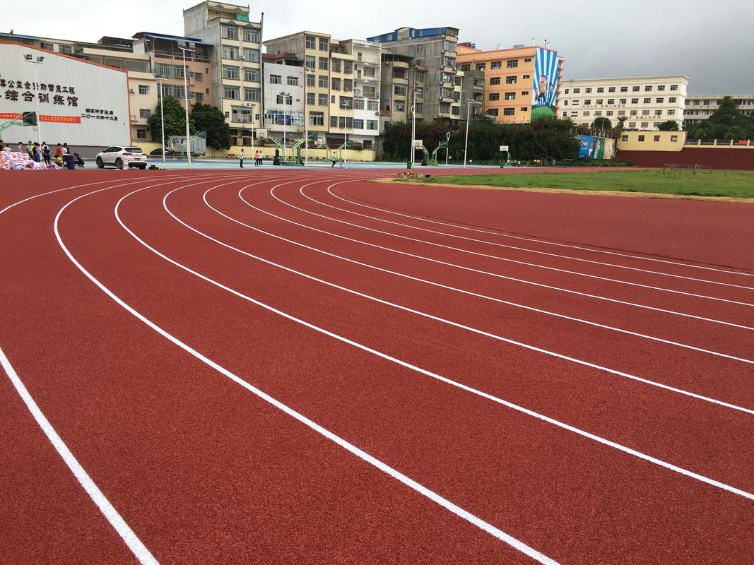 林芝地区学校塑胶跑道塑胶跑道材料 - 推荐